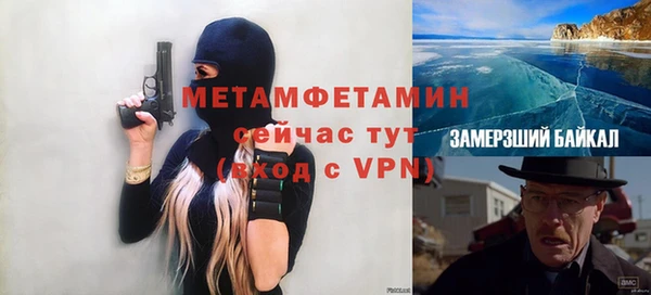 индика Алексин