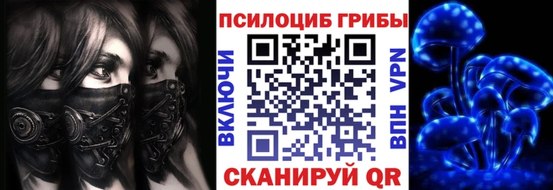 Псилоцибиновые грибы Cubensis  Барыш 