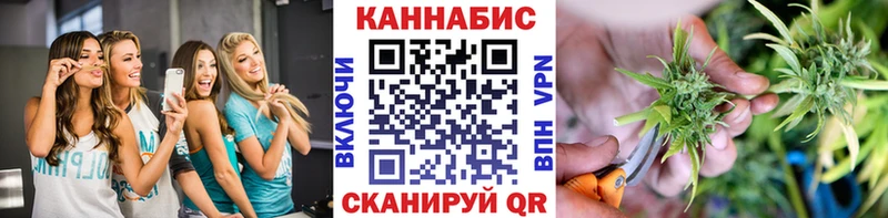 Каннабис гибрид  Барыш 